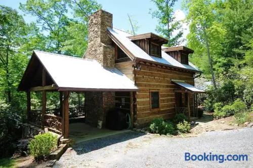 Sarah`s Cabin · Sarah`s Cabin in Pisgah Forest - Image 1