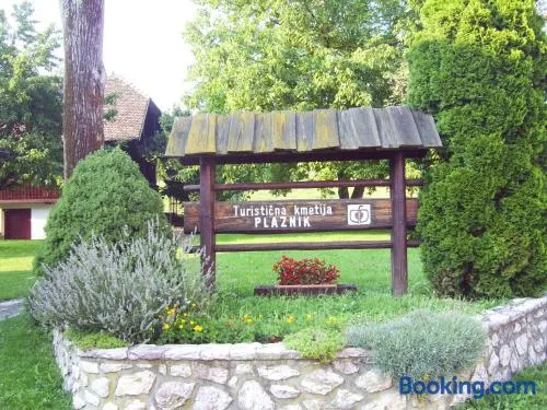 Guest House Turistična kmetija Plaznik - Image 1