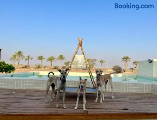 Naseem Farm Escape - dog-friendly camp site - Image 1