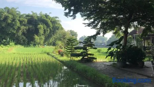 Lotus 2 Guest House - Image 1