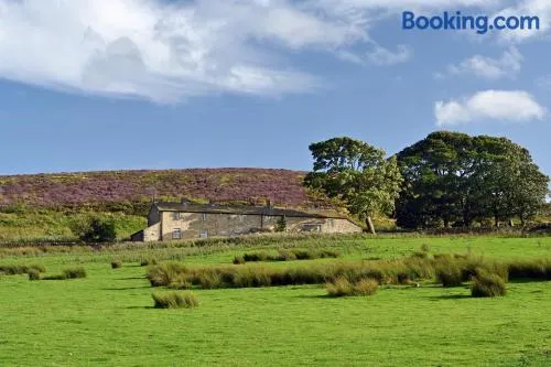 Higher Scarcliffe at Broughton Sanctuary - Image 1