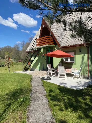 Vila Jezerce Zlatibor Zbojštica - Image 1