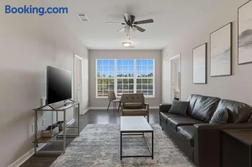 New Spacious Stay Close to UNC-P with Gym & Pool - Image 1