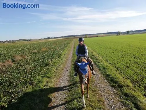 Farm vacation with wellness and horses - Image 1