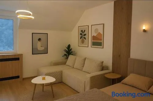 Apartman Medjustanica - Image 1
