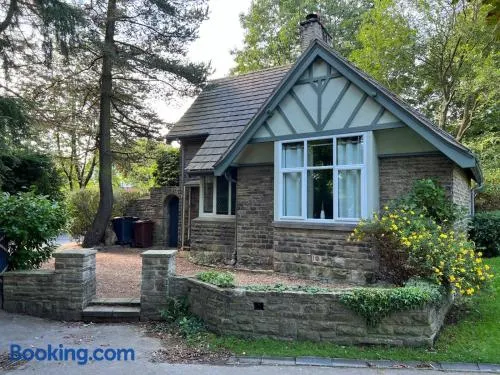 Park Lodge with Hot Tub - Image 1