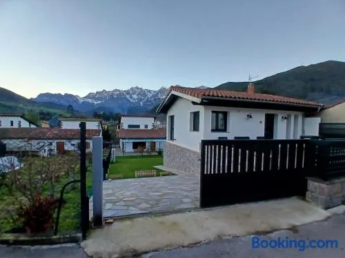 Mirando a los Picos de Europa - Image 1
