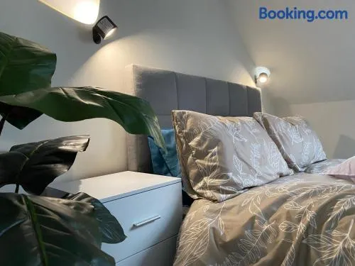 The Cottontail - Modern Private Room With Breakfast - Tamworth - Image 1