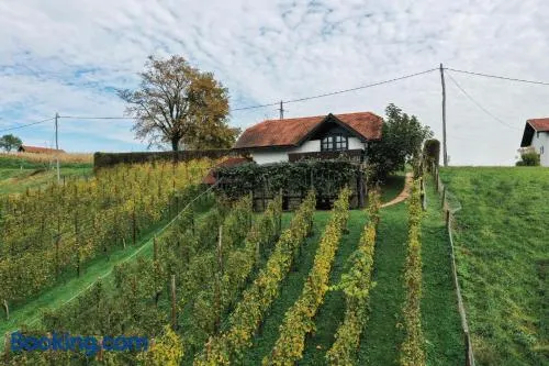 Hiška Brajda - Image 1
