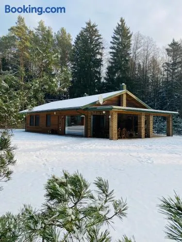 Vanago Lizdas - Image 1