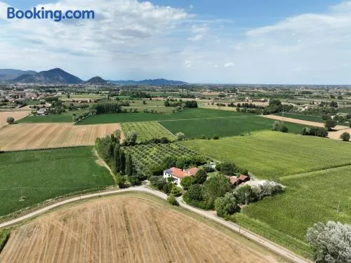 Agriturismo San Bartolomeo - Image 1