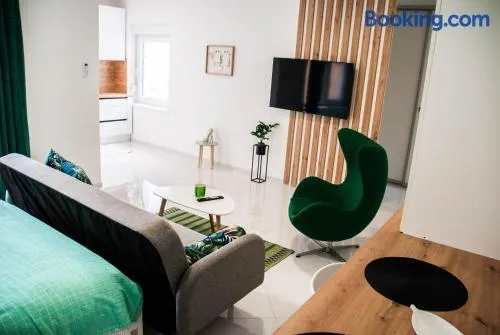 Apartments Lisinski - FREE parking - Image 1
