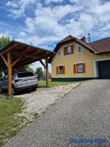 Chalet an der Sonne mit Hund in Seenähe - Image 1