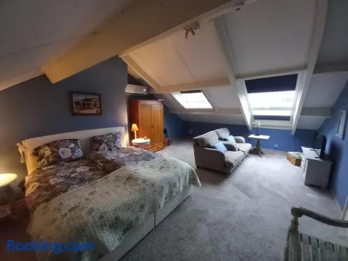 De Hagendoorn - Image 1