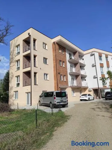 Živanović MT Srebrno jezero - Image 1
