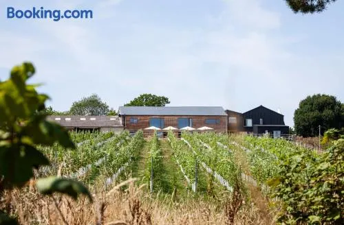 Tillingham Winery - Image 1