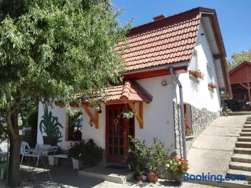 Agávé Apartman - Image 1