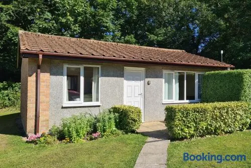 Detached Bungalow in North Cornwall - Image 1