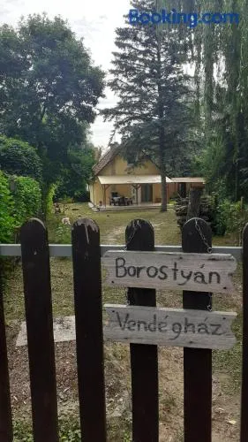 Borostyán Vendégház - Image 1