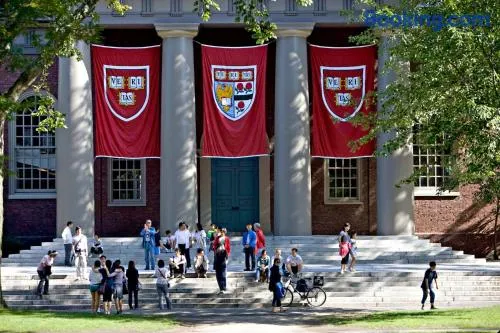 Best Location At Harvard University! 4 Bedroom Apartment! Two Units Available! - Image 1