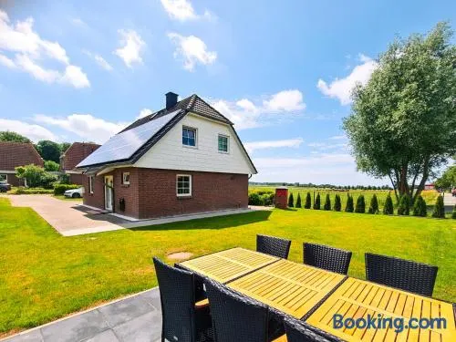 Ferienhaus Haffliebe mit Sauna und Kamin - Image 1