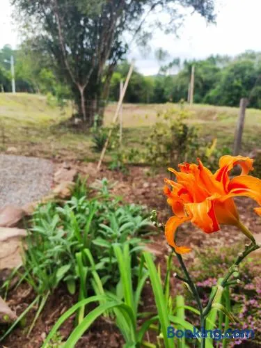 Cabana, lagoas e natureza! - Image 1