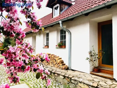 Apartmány Jílovice - Image 1