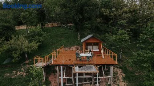 Cioclovina Tribe - Image 1