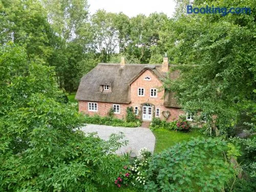 Dachgeschosswohnung Warft Simmerdeis in Reetdachhaus mit parkähnlichem Garten - Image 1