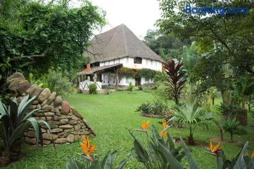 Villa Rossy - Image 1