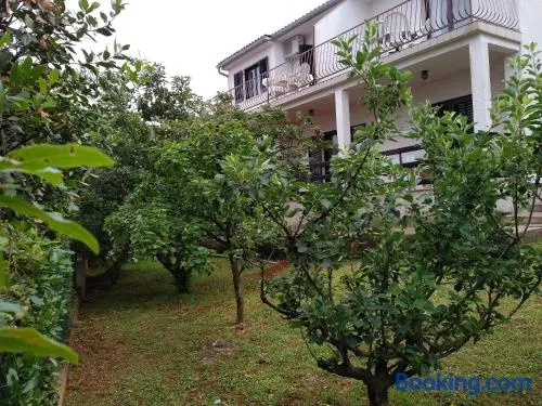 Apartments Beceic - Image 1