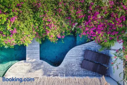 Atoll Haven Villas - Image 1
