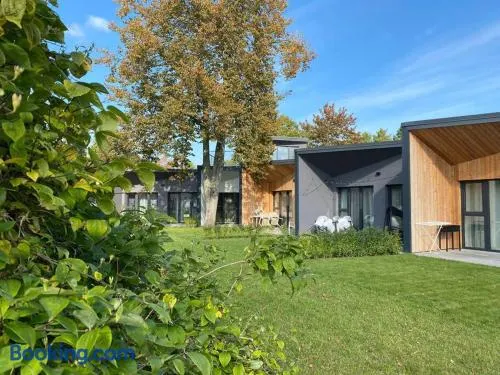 Cozy flat in the woods near sea - Image 1