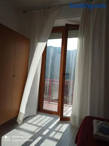 B&B Leo - Image 1