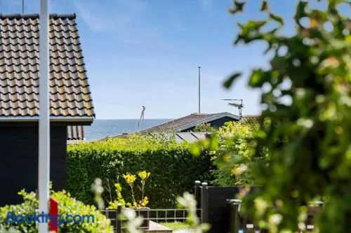 40392-Juelsminde-Hamborg-48 - Image 1