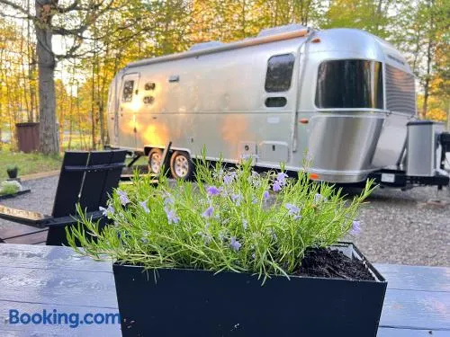 Glamping Guesthouse Airstream Experience - Image 1
