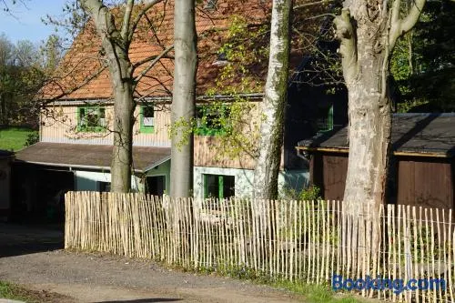 Landidyll Am Eisenberg - Image 1