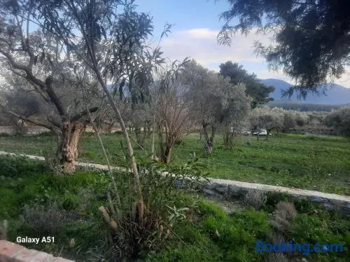 Ali dede - Image 1
