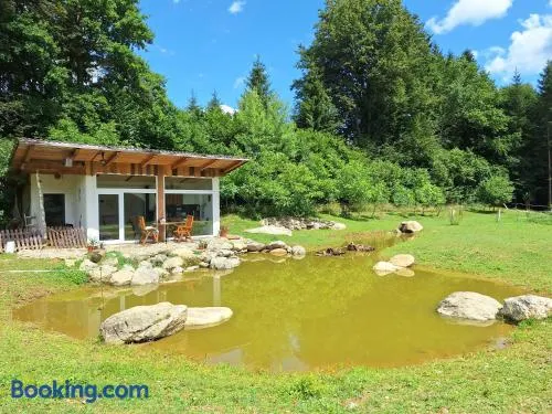 Froschteichhäuschen - Natur und Wellness - Image 1