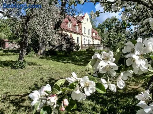 Maras Manor - Image 1