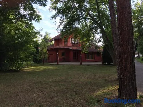 VUJKINAC Central park apartmani Mataruska Banja - Image 1