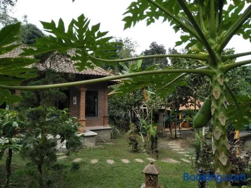 Dina Homestay - Image 1