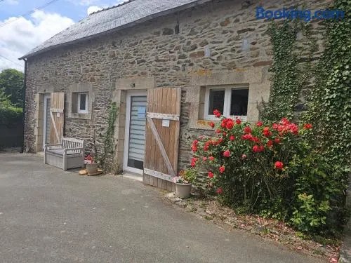Les Marronniers Roses - Image 1