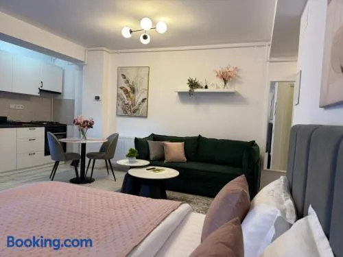 Sofia Residence-Otopeni Airport & Therme- Libertatii Gardens-Self Check-in - Image 1