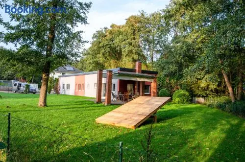Ferienhaus Erlengrund - Image 1