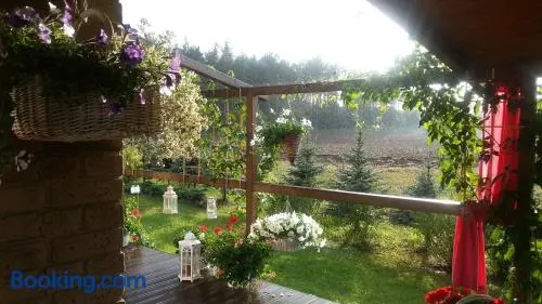 Szumi Las - Image 1