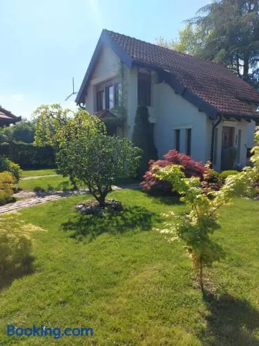 Kuca na Savi - Stari hrast - Image 1