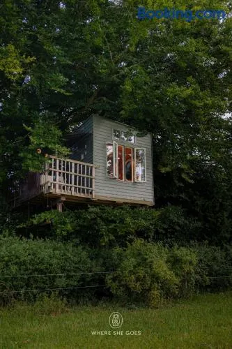 Treehouse escape - Image 1