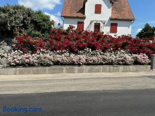 Au parfum des roses - Image 1