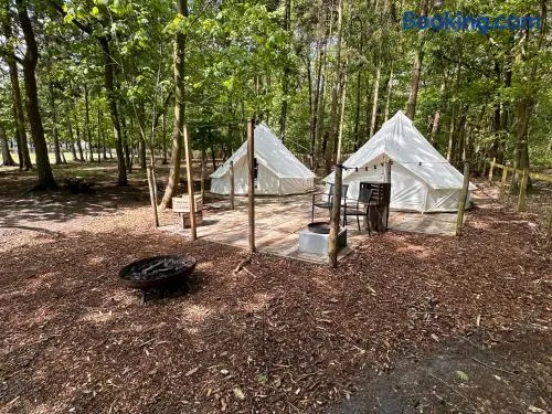Privé Alpaca Glamping Hoogstraten - Image 1